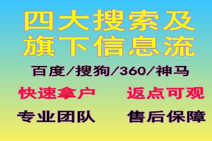 某电商平台的SEM广告投放策略及效果评估